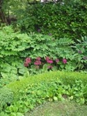 offener_garten3