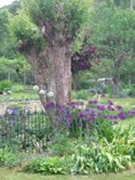 offener_garten4