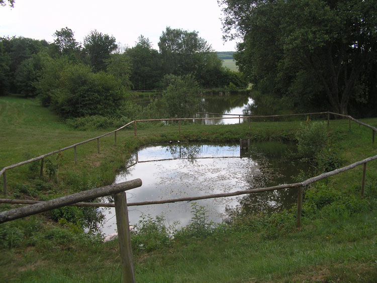 Fischweiher