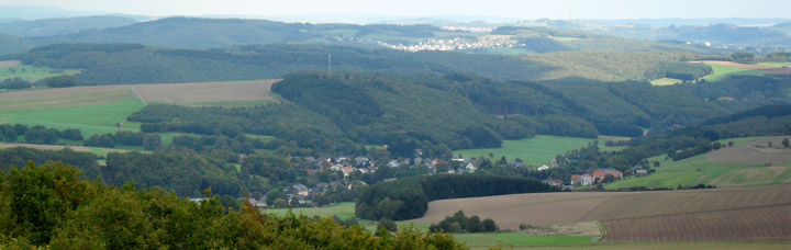 Panoramaansicht vom Aussichtsturm