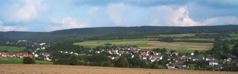 Gesamtansicht Schwollen_zoom