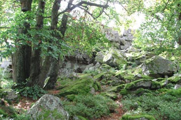 Kirschweiler Festung