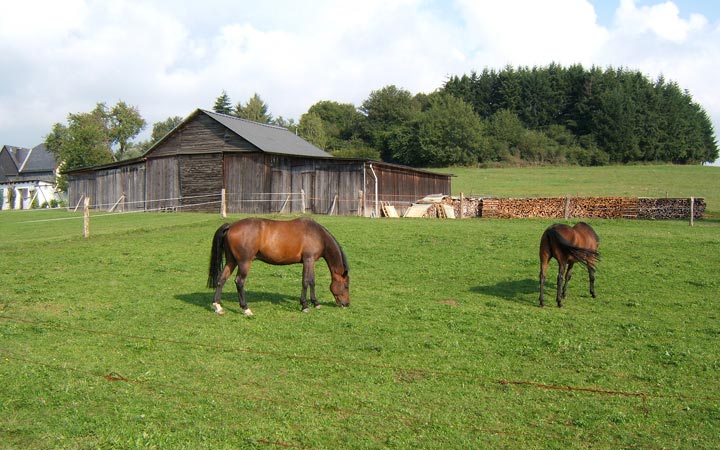 Unterdorf Schwollen