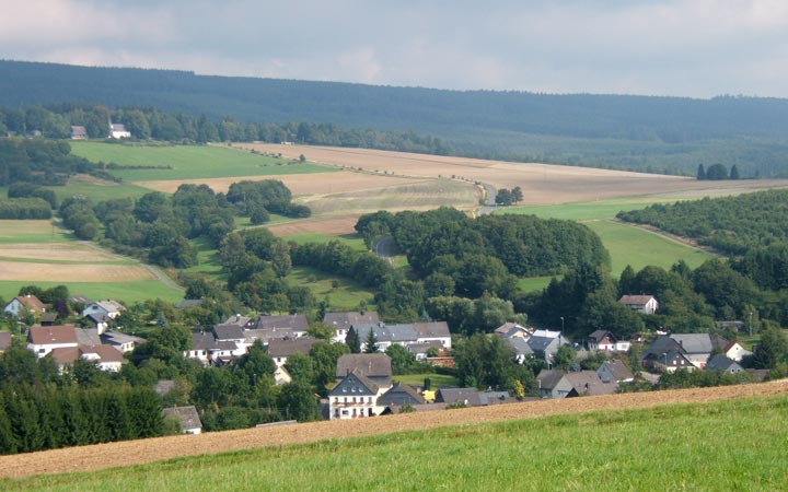 Schwollener Wald